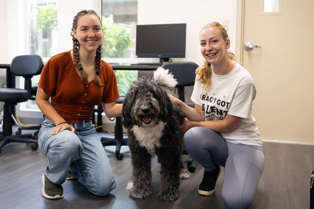Meet the dog that plays video games with his&nbsp;snoot