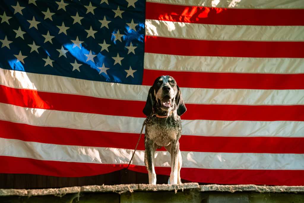 This dog politician follows a long-tailed&nbsp;tradition